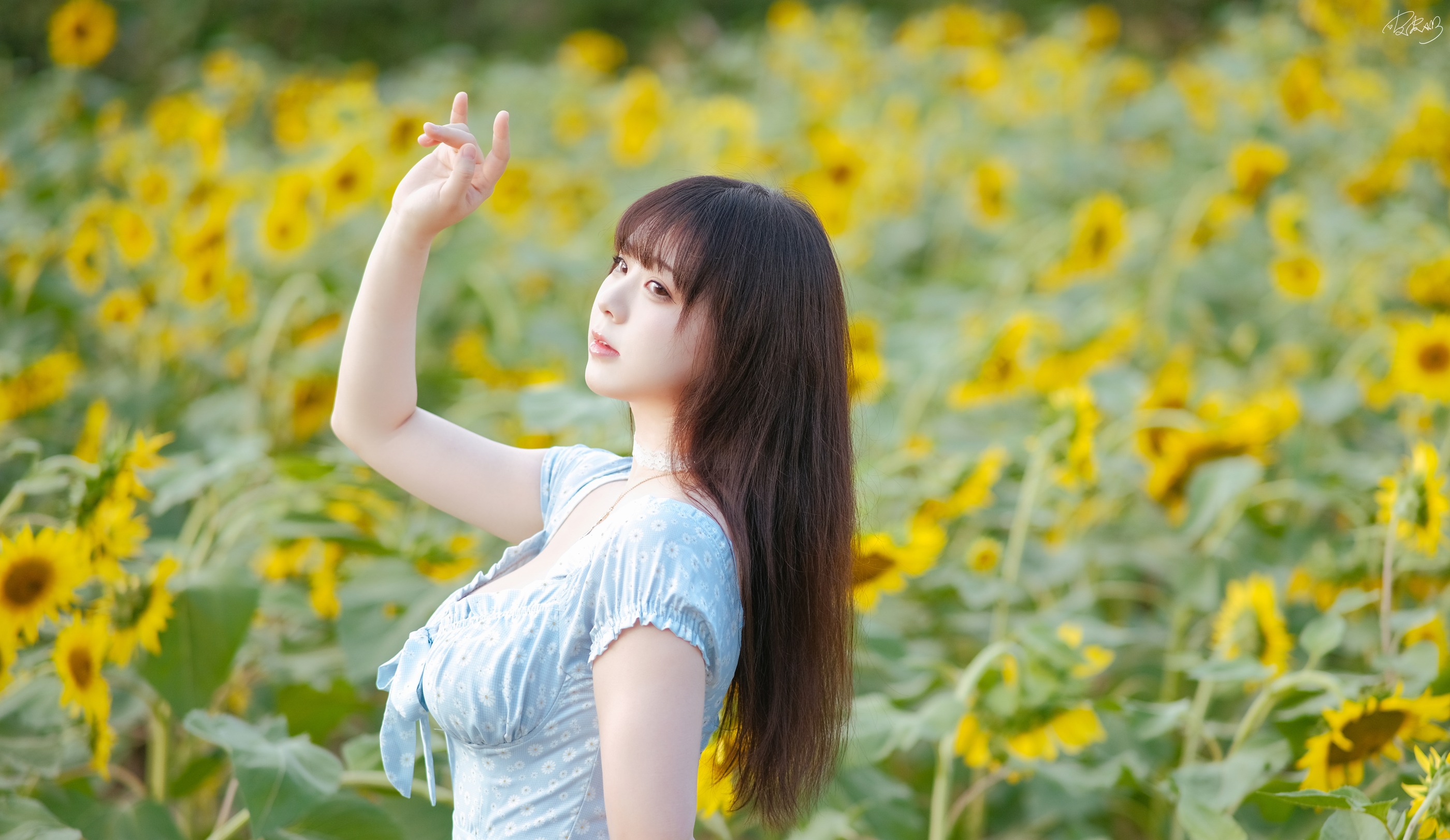 图片[1]-皮皮奶可可爱了啦 – NO.055 彼女向日葵[35P]-XikXak